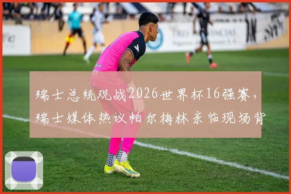 瑞士总统观战2026世界杯16强赛，瑞士媒体热议帕尔梅林亲临现场背后深意