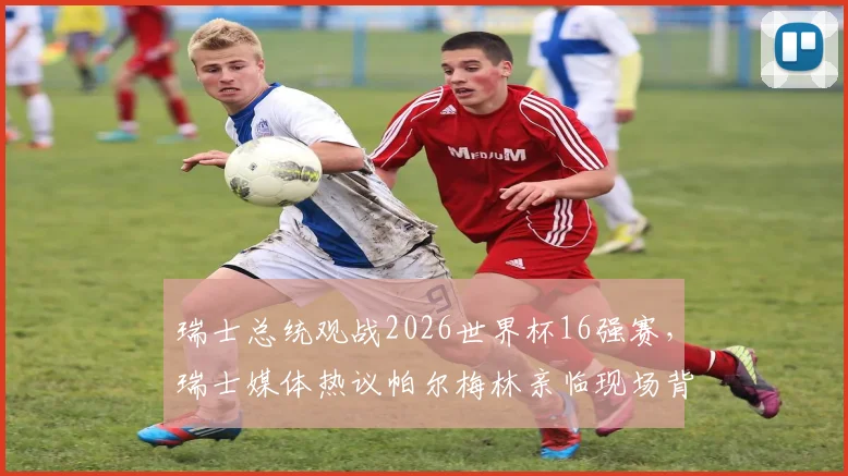 瑞士总统观战2026世界杯16强赛,瑞士媒体热议帕尔梅林亲临现场背后深意
